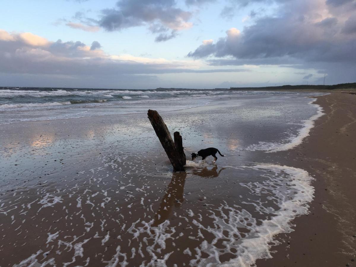 Apartament Cliffside Lossiemouth Zewnętrze zdjęcie